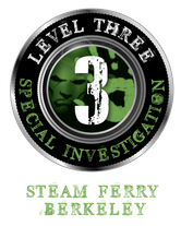 level three badge